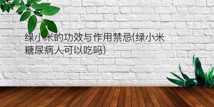 绿小米的功效与作用禁忌(绿小米糖尿病人可以吃吗)