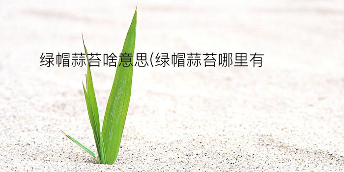 绿帽蒜苔啥意思(绿帽蒜苔哪里有)