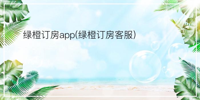 绿橙订房app(绿橙订房客服)