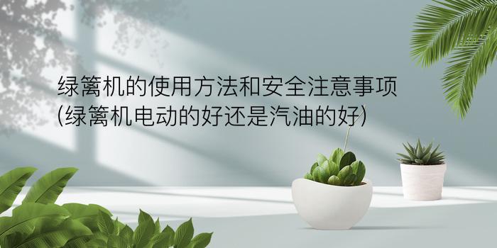 绿篱机的使用方法和安全注意事项(绿篱机电动的好还是汽油的好)