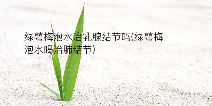 绿萼梅泡水治乳腺结节吗(绿萼梅泡水喝治肺结节)