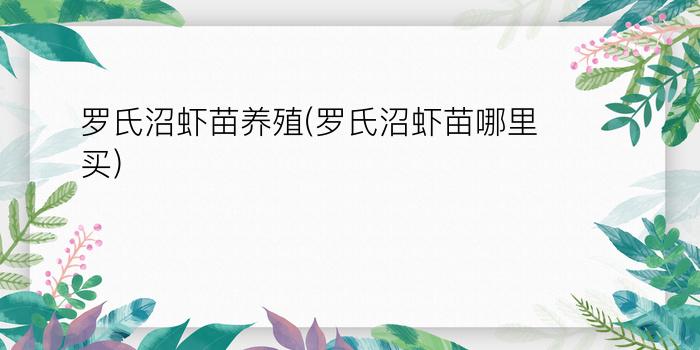 罗氏沼虾苗养殖(罗氏沼虾苗哪里买)