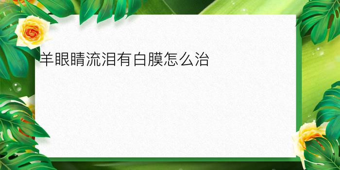 羊眼睛流泪有白膜怎么治