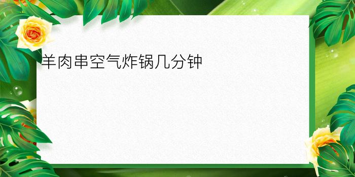 羊肉串空气炸锅几分钟