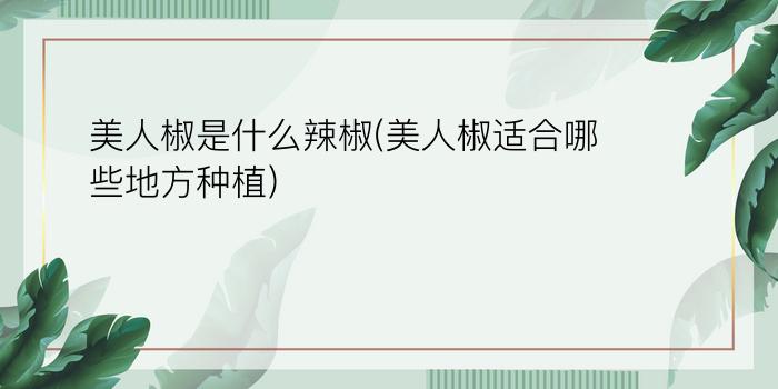 美人椒是什么辣椒(美人椒适合哪些地方种植)