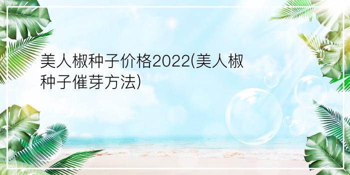 美人椒种子价格2022(美人椒种子催芽方法)