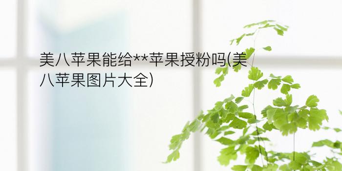 美八苹果能给**苹果授粉吗(美八苹果图片大全)