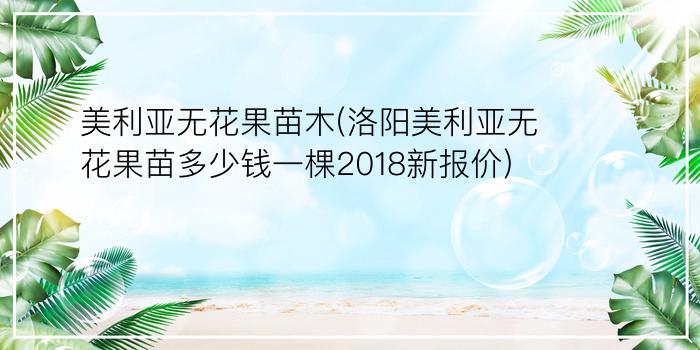 美利亚无花果苗木(洛阳美利亚无花果苗多少钱一棵2018新报价)