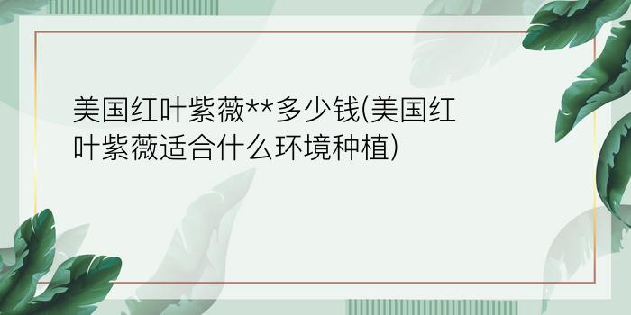 美国红叶紫薇**多少钱(美国红叶紫薇适合什么环境种植)