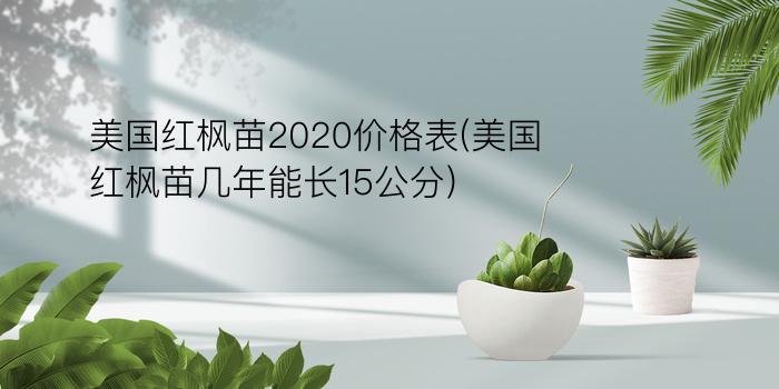 美国红枫苗2020价格表(美国红枫苗几年能长15公分)