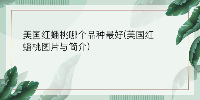 美国红蟠桃哪个品种最好(美国红蟠桃图片与简介)