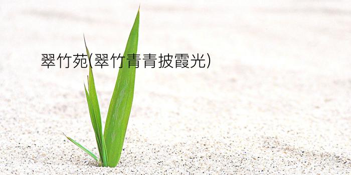 翠竹苑(翠竹青青披霞光)