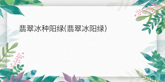 翡翠冰种阳绿(翡翠冰阳绿)