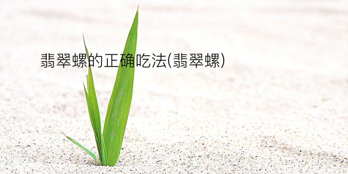 翡翠螺的正确吃法(翡翠螺)