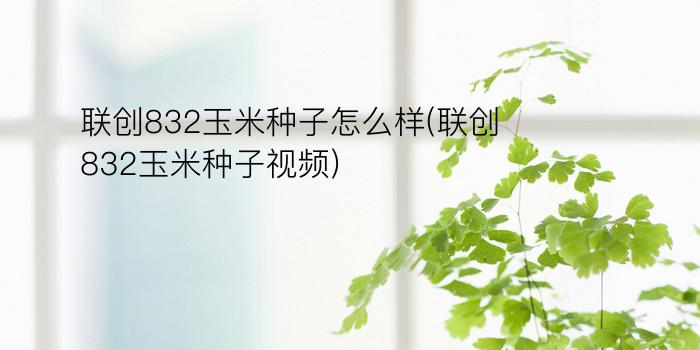 联创832玉米种子怎么样(联创832玉米种子视频)