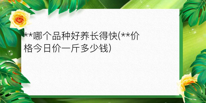 **哪个品种好养长得快(**价格今日价一斤多少钱)