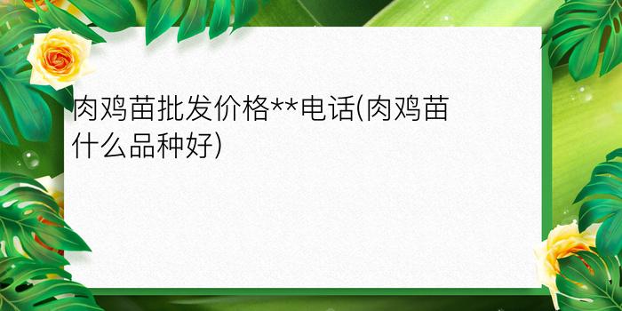 肉鸡苗批发价格**电话(肉鸡苗什么品种好)