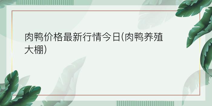 肉鸭价格最新行情今日(肉鸭养殖大棚)