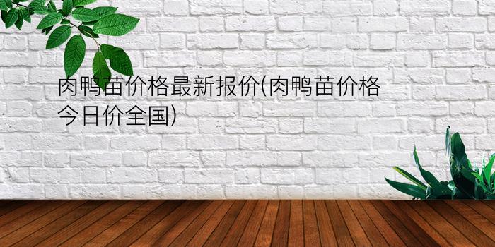 肉鸭苗价格最新报价(肉鸭苗价格今日价全国)