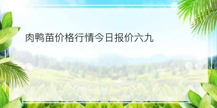 肉鸭苗价格行情今日报价六九