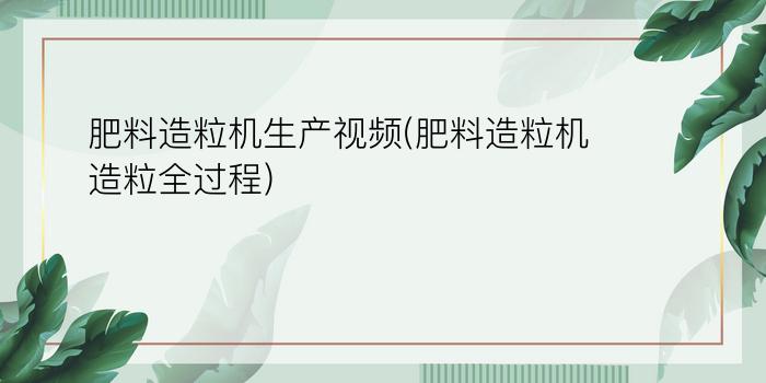 肥料造粒机生产视频(肥料造粒机造粒全过程)