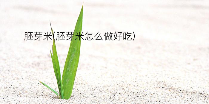 胚芽米(胚芽米怎么做好吃)