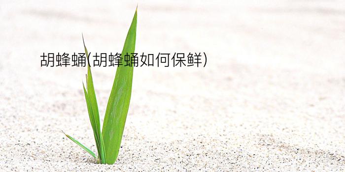 胡蜂蛹(胡蜂蛹如何保鲜)