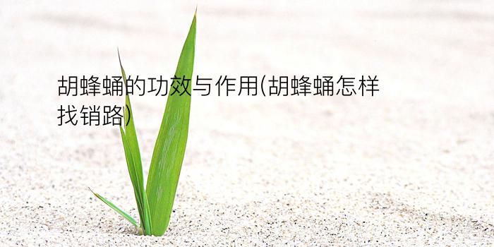 胡蜂蛹的功效与作用(胡蜂蛹怎样找销路)