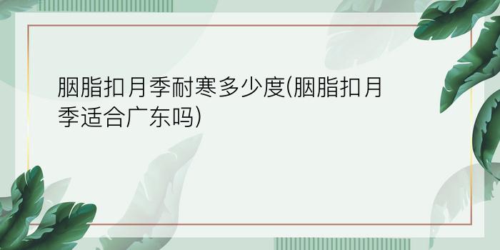 胭脂扣月季耐寒多少度(胭脂扣月季适合广东吗)