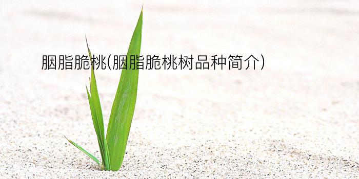 胭脂脆桃(胭脂脆桃树品种简介)