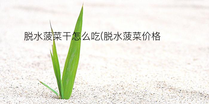 脱水菠菜干怎么吃(脱水菠菜价格)