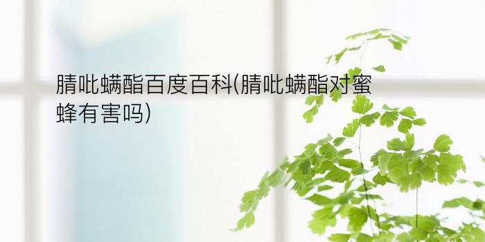 腈吡螨酯百度百科(腈吡螨酯对蜜蜂有害吗)