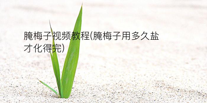 腌梅子视频教程(腌梅子用多久盐才化得完)