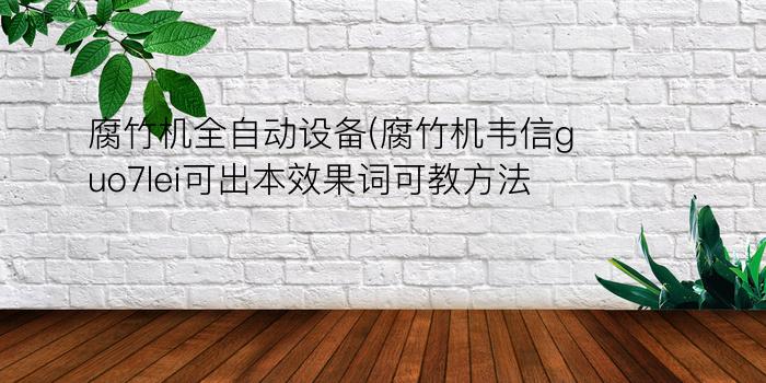 腐竹机全自动设备(腐竹机韦信guo7lei可出本效果词可教方法)