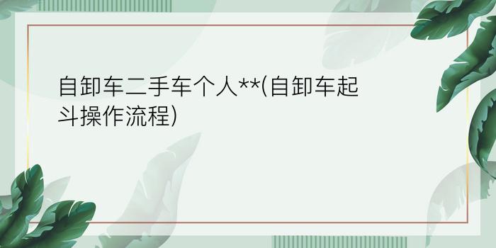 自卸车二手车个人**(自卸车起斗操作流程)