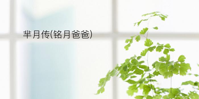 芈月传(铭月爸爸)