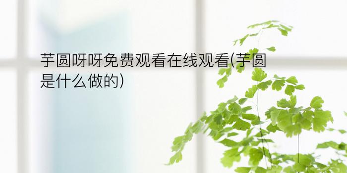 芋圆呀呀免费观看在线观看(芋圆是什么做的)