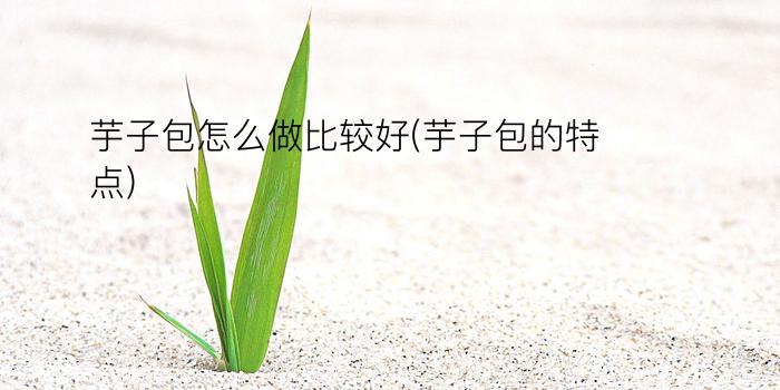 芋子包怎么做比较好(芋子包的特点)