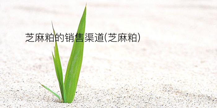 芝麻粕的销售渠道(芝麻粕)