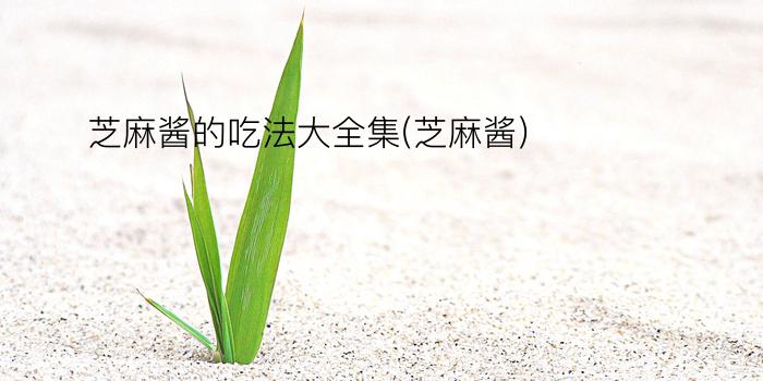 芝麻酱的吃法大全集(芝麻酱)