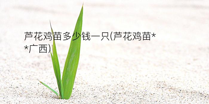 芦花鸡苗多少钱一只(芦花鸡苗**广西)