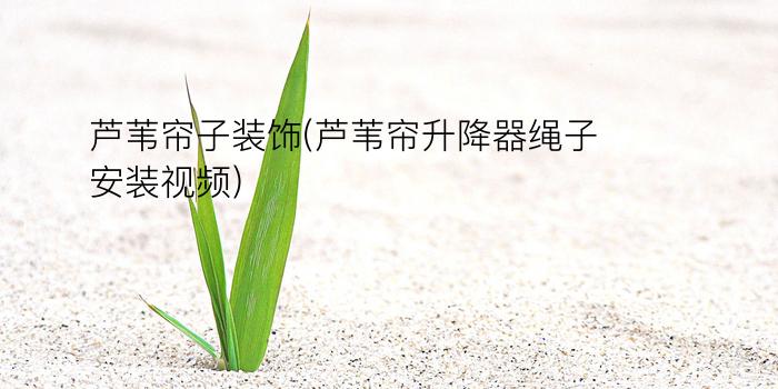 芦苇帘子装饰(芦苇帘升降器绳子安装视频)