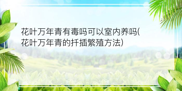 花叶万年青有毒吗可以室内养吗(花叶万年青的扦插繁殖方法)