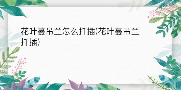 花叶蔓吊兰怎么扦插(花叶蔓吊兰扦插)