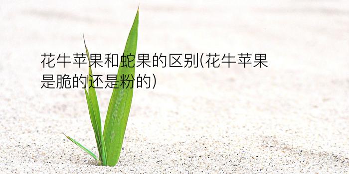 花牛苹果和蛇果的区别(花牛苹果是脆的还是粉的)