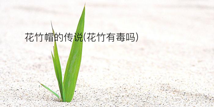 花竹帽的传说(花竹有毒吗)