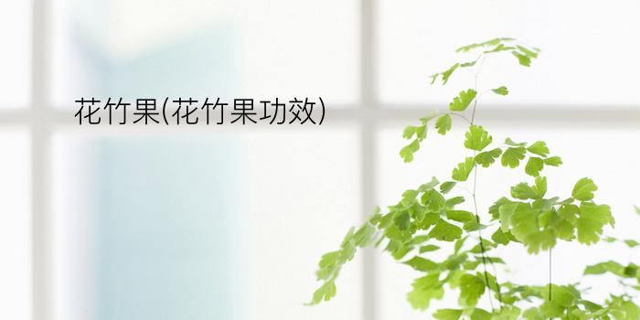 花竹果(花竹果功效)