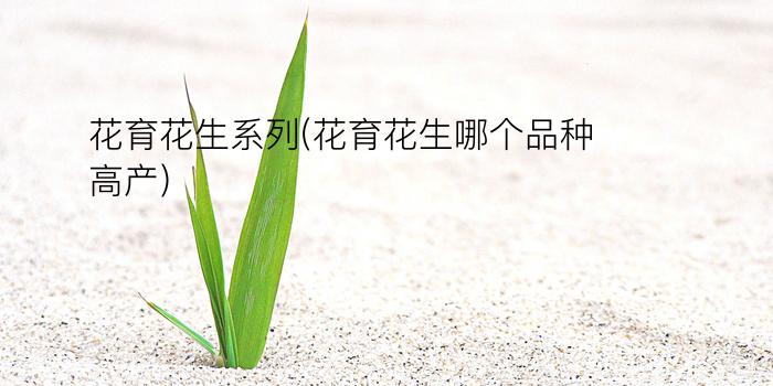 花育花生系列(花育花生哪个品种高产)