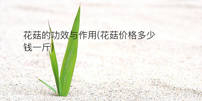 花菇的功效与作用(花菇价格多少钱一斤)