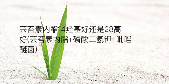 芸苔素内酯14羟基好还是28高好(芸苔素内酯+磷酸二氢钾+吡唑醚菌)